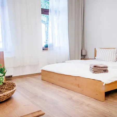 Apartment Dora Chemnitz Buitenkant foto